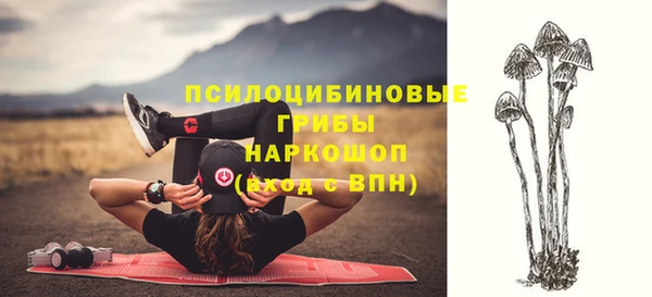 скорость mdpv Новозыбков