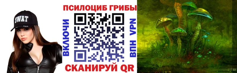 Галлюциногенные грибы MAGIC MUSHROOMS  кракен маркетплейс  Мурманск  где купить  