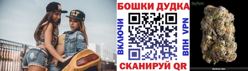 Бошки Шишки гибрид  где найти наркотики  Мурманск 